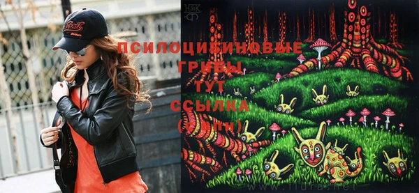 твердый Нефтегорск