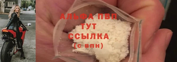 стаф Канск