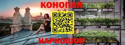 ГАЛЛЮЦИНОГЕННЫЕ ГРИБЫ Бийск