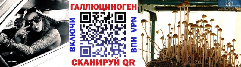 Галлюциногенные грибы мухоморы  Кстово 
